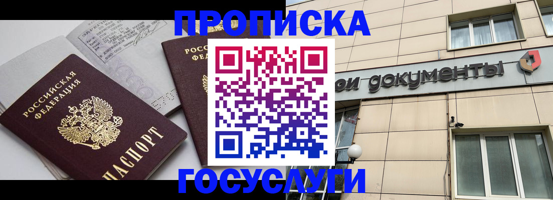 временная регистрация поиск в Тереке